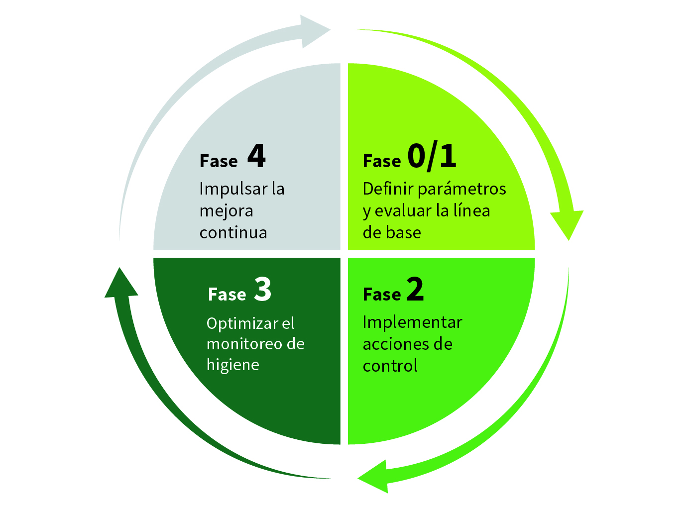 Infografía circular dividida en cuatro cuadrantes, cada uno representando una fase de un proceso. En el cuadrante superior derecho, en color verde claro, se lee “Fase 0/1: Definir parámetros y evaluar la línea de base”. En el cuadrante inferior derecho, en verde medio, se muestra “Fase 2: Implementar acciones de control”. El cuadrante inferior izquierdo, en verde oscuro, indica “Fase 3: Optimizar el monitoreo de higiene”. El cuadrante superior izquierdo, en gris, muestra “Fase 4: Impulsar la mejora continua”. Una flecha circular externa rodea los cuatro cuadrantes, indicando continuidad del ciclo.