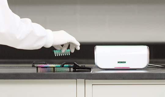 Molecular detection system with qualitative assays
