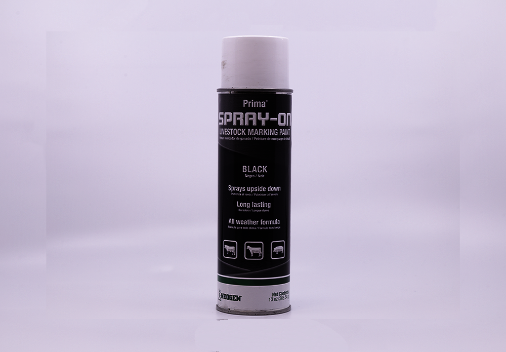 338747_658261338747_Spray-On BLACK_1.png