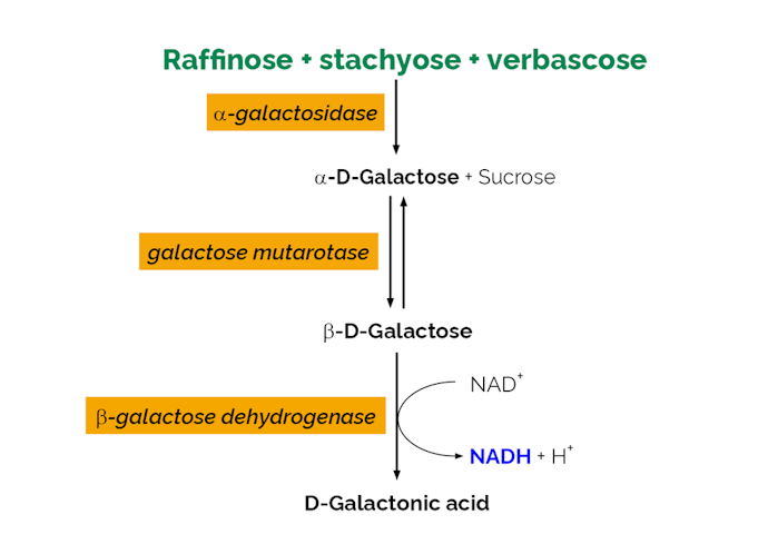 Megazyme_Scheme-K-RAFGA-ProdIm.png