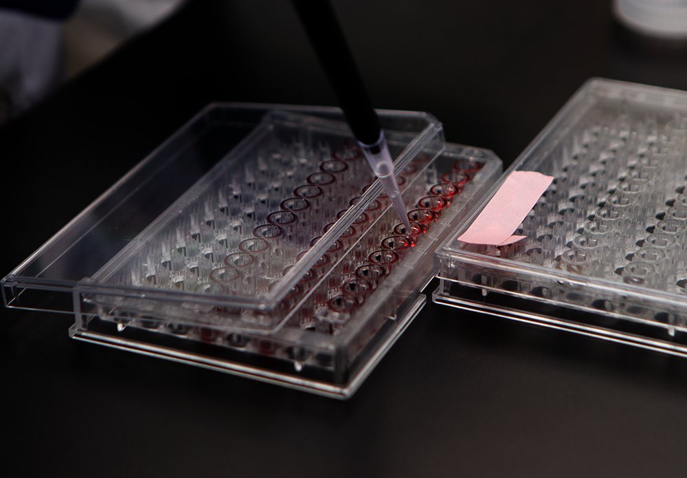 Official_9403HS_Sample-Testing-Aflatoxin-HS_Kit-Photo.png