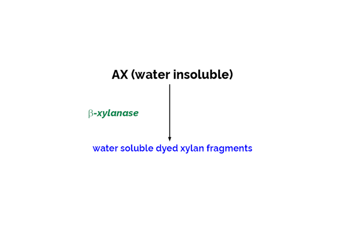 Megazyme_Scheme-K-XYLS-ProdIm.png