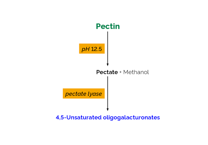 Megazyme_Scheme-K-PECID-ProdIm.png