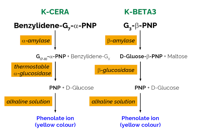 Megazyme_scheme-K-MALTA-ProdIm.png