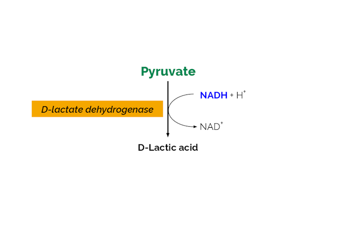 Megazyme_Scheme-K-PYRUV-ProdIm.png