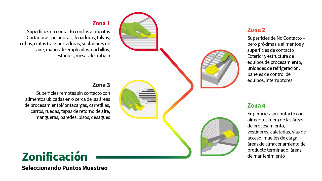 Infografía educativa sobre el enfoque por zonas Z1 a Z4 en la industria alimentaria, mostrando la clasificación de superficies según su nivel de contacto con los alimentos. Zona 1 incluye superficies de contacto directo como cintas transportadoras y cuchillos; Zona 2, equipos cercanos sin contacto directo; Zona 3, áreas periféricas como pisos y drenajes; y Zona 4, zonas externas como muelles o vestidores. Optimizado para monitoreo ambiental, higiene industrial y control microbiológico.
