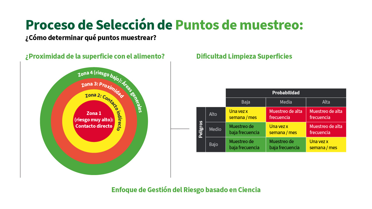 Infografía sobre el proceso de selección de puntos de muestreo en el monitoreo ambiental según la zonificación Z1 a Z4. Incluye un diagrama de riesgo microbiológico basado en la proximidad al alimento y la dificultad de limpieza, y una tabla de frecuencia de muestreo basada en la probabilidad y nivel de peligro. Enfoque científico para programas de inocuidad alimentaria alineado con FSMA, FSSC 22000 y Codex Alimentarius.