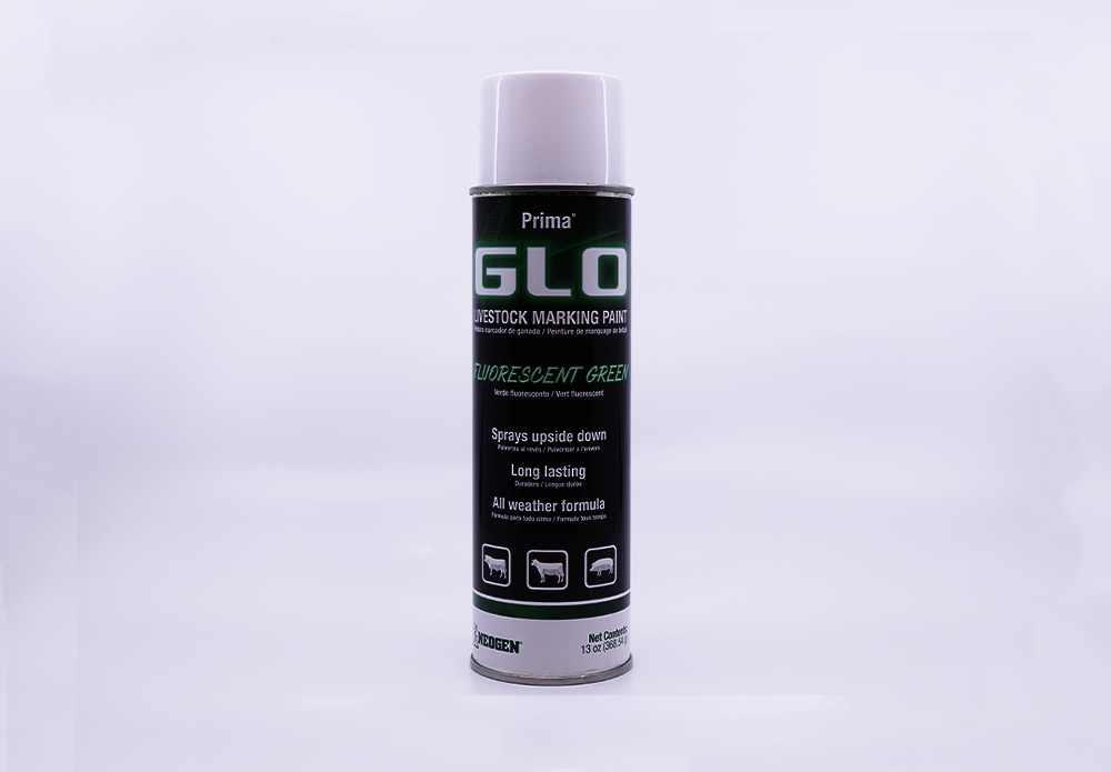 338693_658261338693_Spray-On Glo FLUORESCENT GREEN_1.png