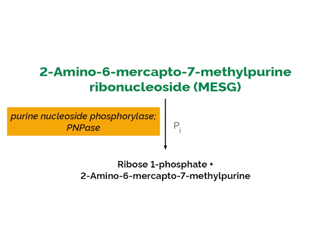 Megazyme_Scheme-K-PHOS-ProdIm.png