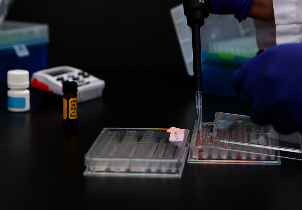 Official_9403SA_Sample-Testing-Soy_Kit-Photo.png