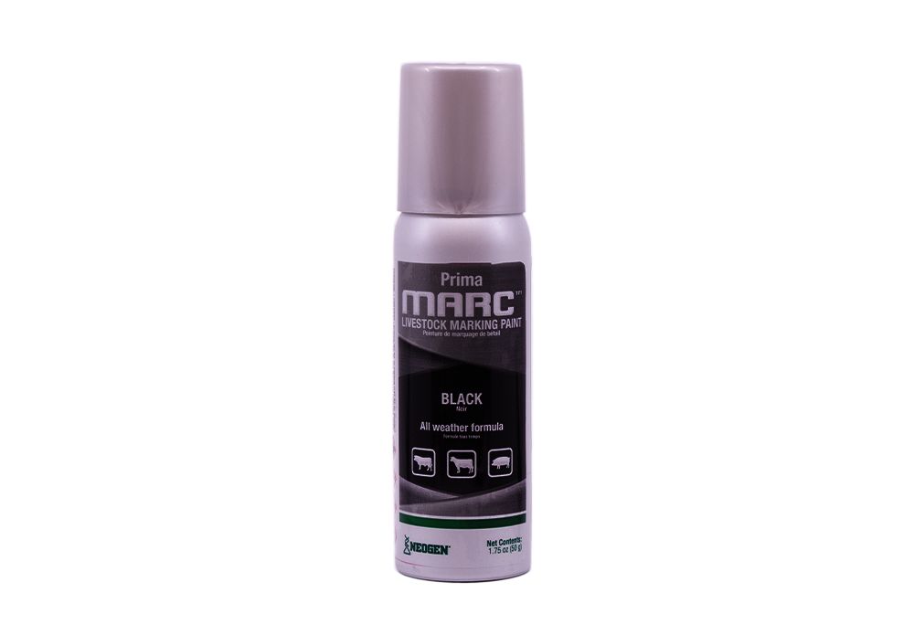 Official_342812_658261342812_Ideal-Prima-Marc-Paint_1.png
