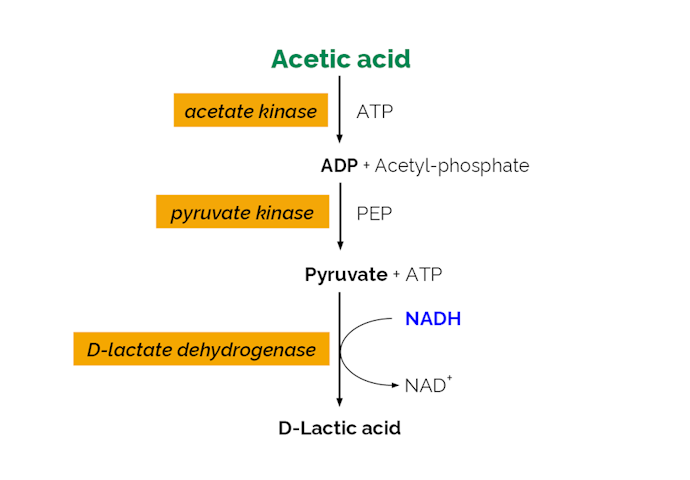 Megazyme_Scheme-K-ACETAK-ProdIm.png