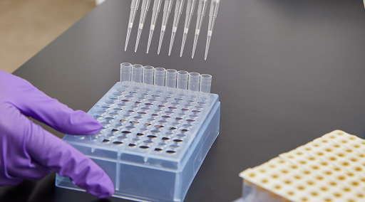 A lab technician pipettes samples using Neogen Molecular Detection System for pathogen testing.