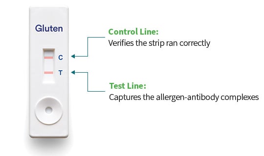 Gluten lateral flow test device showing control line and test line used to detect allergen-antibody complexes