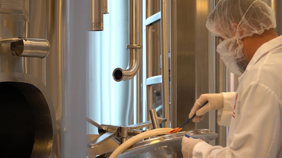 Food safety technician swabbing equipment