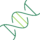 PCR icon