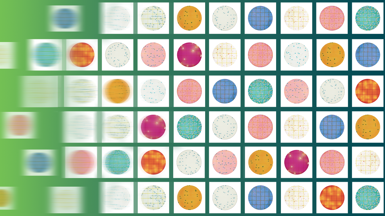 A grid of colorful PetriFilm™ plates used for colony counting, displaying a variety of bacterial growth patterns in different hues against a green gradient background, representing microbial testing in food safety.