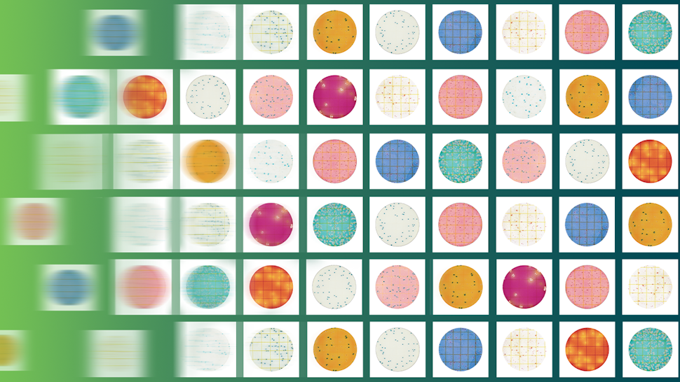 A grid of colorful PetriFilm™ plates used for colony counting, displaying a variety of bacterial growth patterns in different hues against a green gradient background, representing microbial testing in food safety.