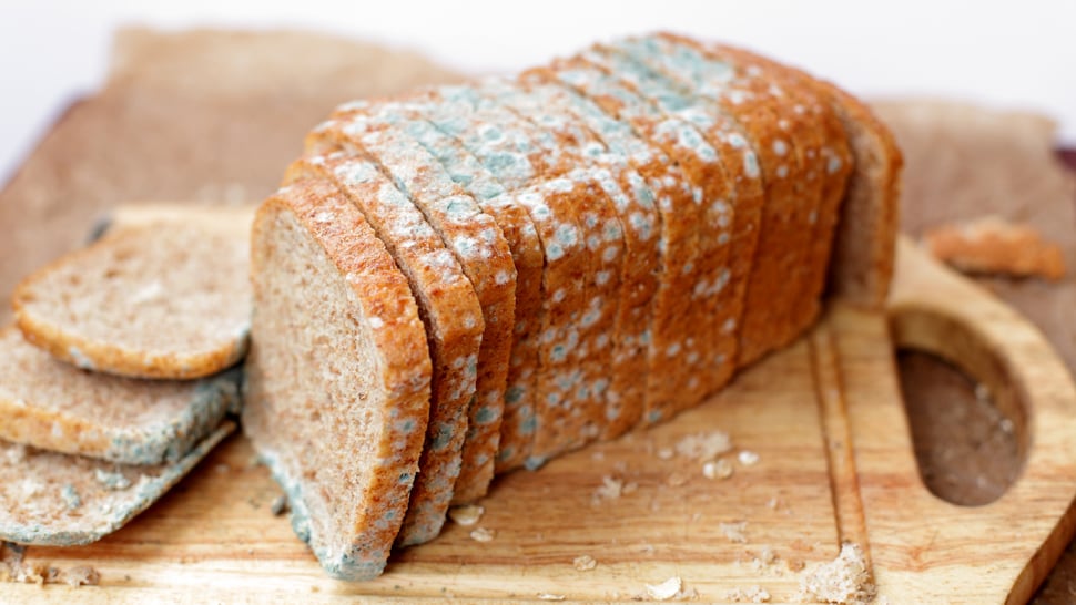 Spoiled loaf of bread