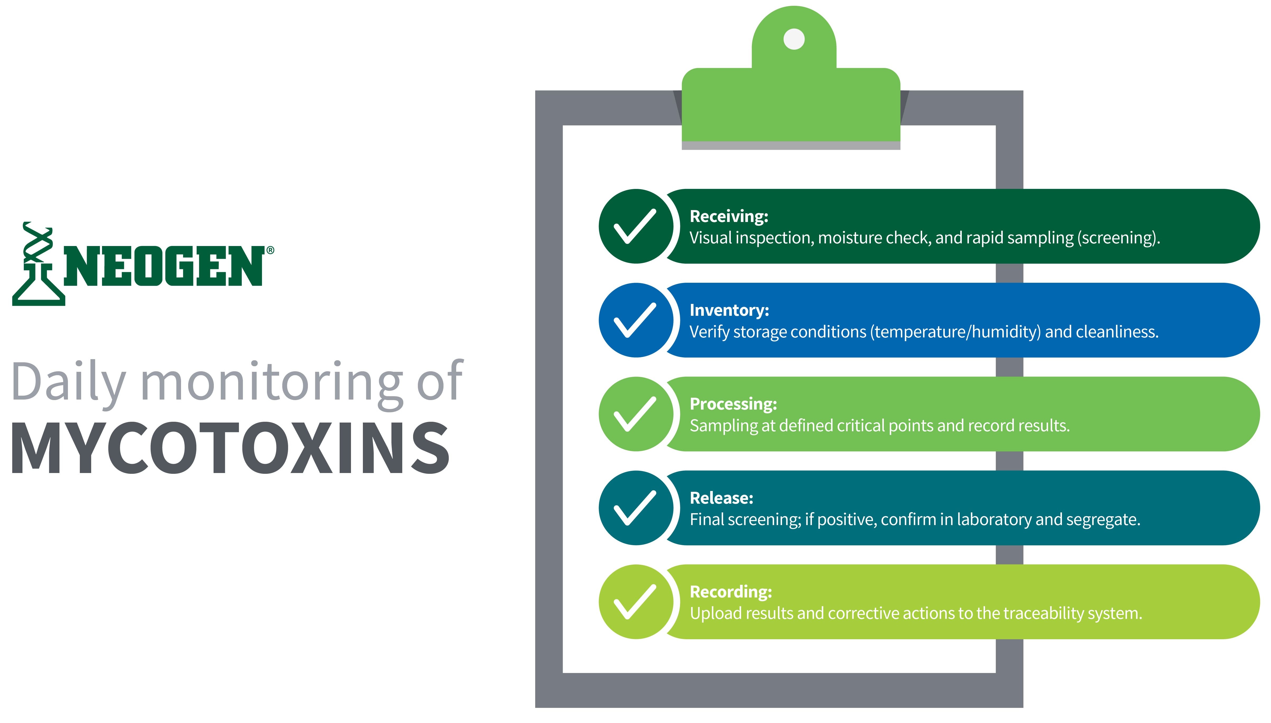 Infographic on daily mycotoxin monitoring with five stages: receiving, storage, processing, release, and recording. Includes visual inspection, moisture check, rapid sampling, verification of storage conditions, critical point sampling, laboratory confirmation, and digital traceability. Educational image by NEOGEN to ensure food safety.