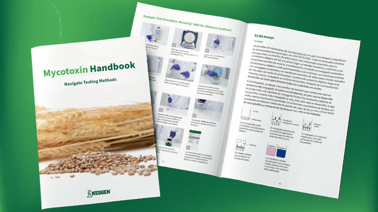 Image of Neogen’s Mycotoxin Handbook featuring a cover with wheat and grains, and an open spread showing mycotoxin analysis methods.
