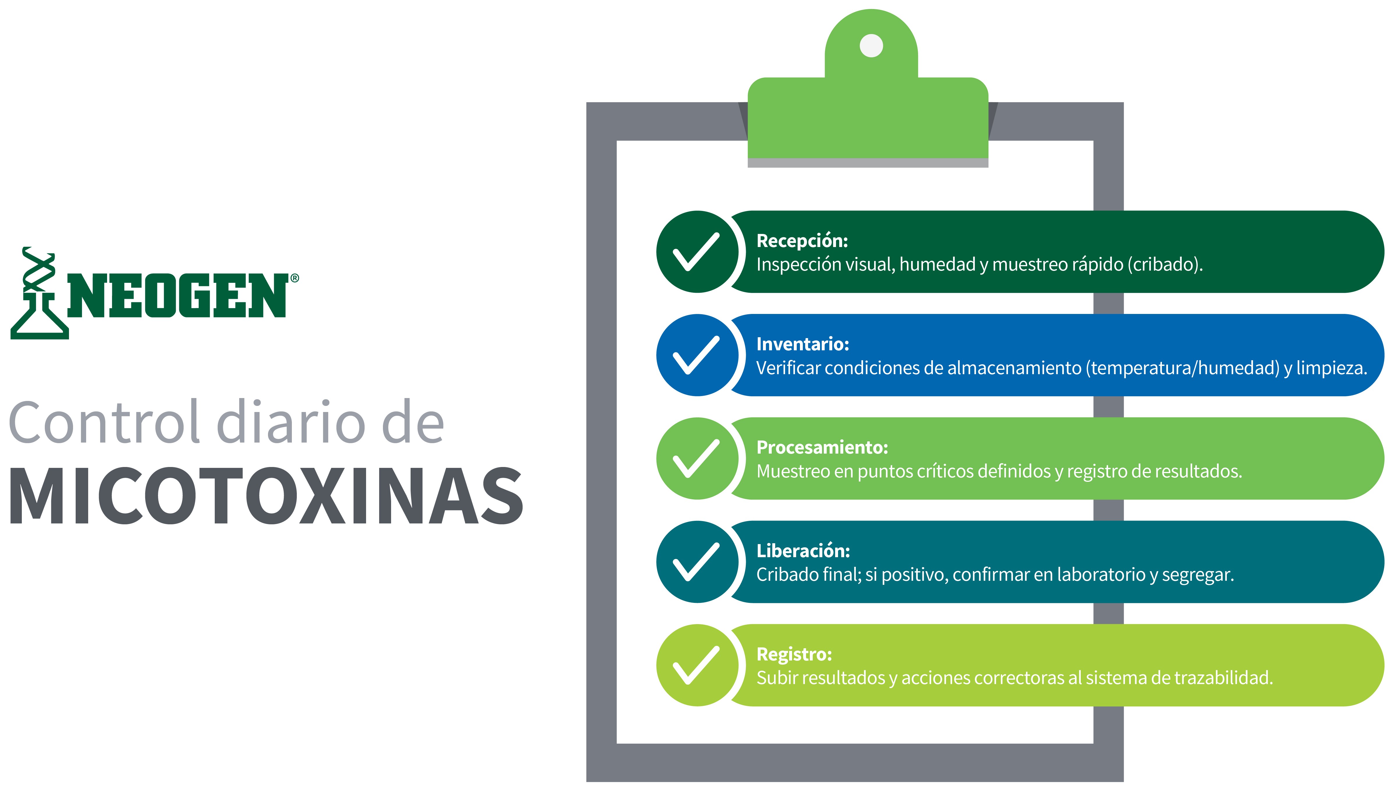 Infografía sobre el monitoreo diario de micotoxinas en cinco etapas: recepción, almacenamiento, procesamiento, liberación y registro. Incluye inspección visual, verificación de humedad, muestreo rápido, verificación de condiciones de almacenamiento, muestreo en puntos críticos, confirmación en laboratorio y trazabilidad digital. Imagen educativa de NEOGEN para garantizar la inocuidad alimentaria.