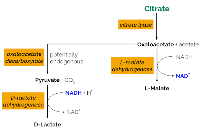 Megazyme_Scheme-K-CITR-ProdIm.png