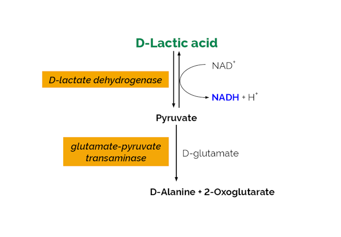 Megazyme_Scheme-K-DATE-ProdIm.png