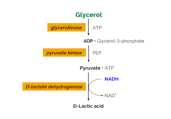 Megazyme_Scheme-K-GCROL-ProdIm.png