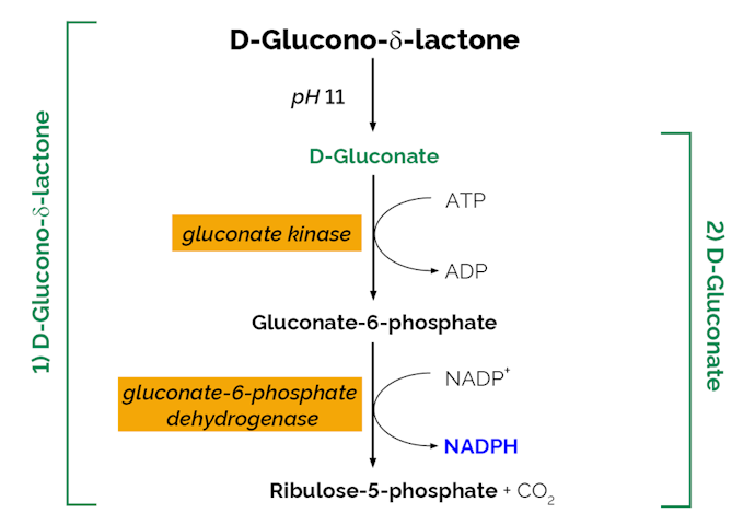 Megazyme_Scheme-K-GATE-ProdIm.png
