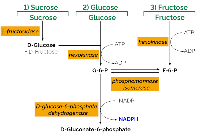Megazyme_Scheme-K-SUFRG-ProdIm.png