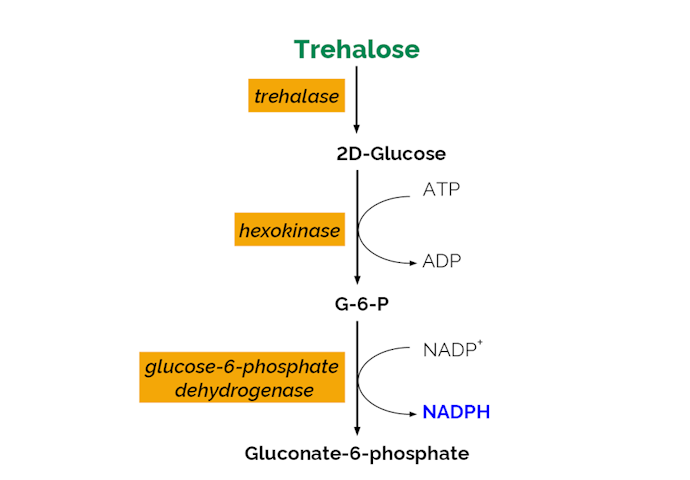 Megazyme_Scheme-K-TREH-ProdIm.png