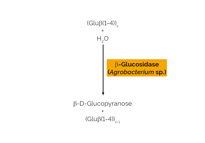 Megazyme_Scheme-E-BGOSAG.png
