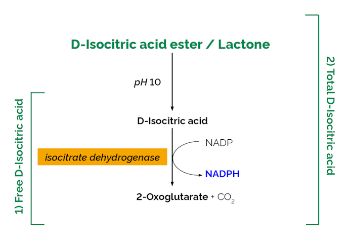 Megazyme_Scheme-K-ISOC-ProdIm.png