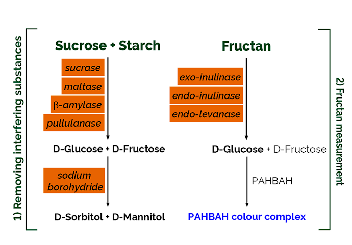 Megazyme_Scheme-K-FRUC-ProdIm.png
