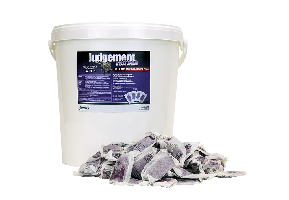 373424_023626029002_Judgement-Soft-Bait-22lb-pail-with-bait_1.png