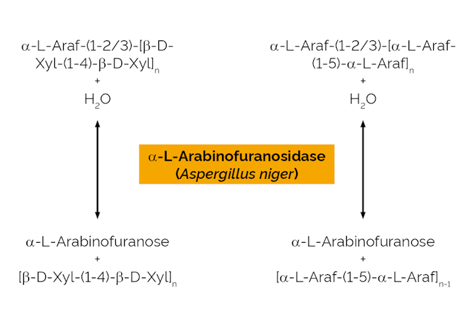 Megazyme_Scheme-E-AFASE.png