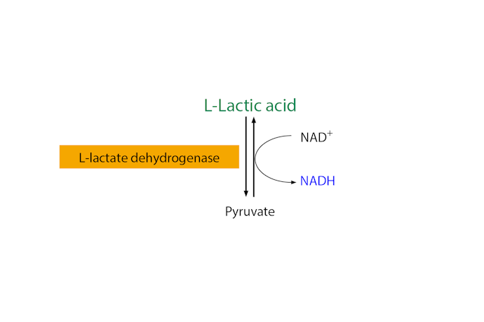 Scheme-K-LATELQ-ProdIm.png