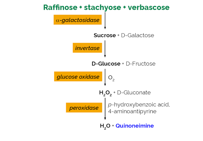 Megazyme_Scheme-K-RAFGL-ProdIm.png
