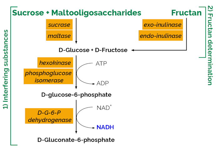 Megazyme_Scheme-K-FRUCHK-ProdIm.png