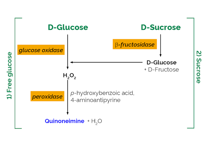 Megazyme_Scheme-K-SUCGL-ProdIm.png