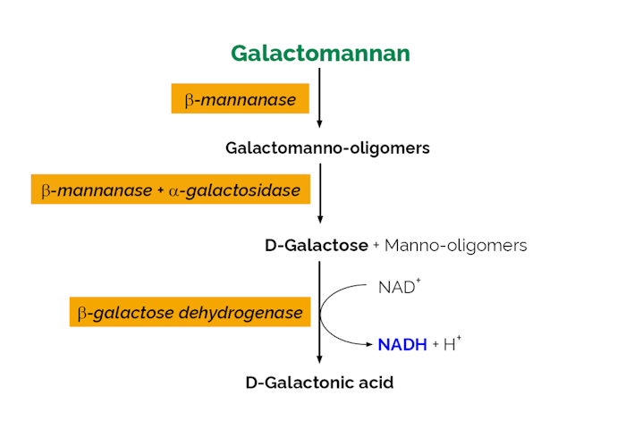 Megazyme_Scheme-K-GALM-ProdIm.png