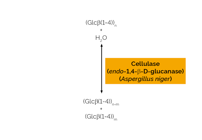 Megazyme_Scheme-E-CELAN.png