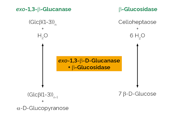 Megazyme_Scheme-E-EXBGOS.png