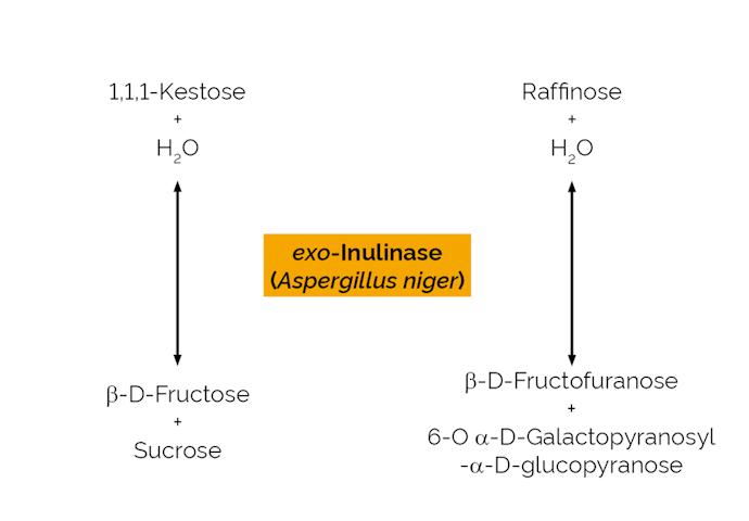 Megazyme_Scheme-E-EXOIAN.png