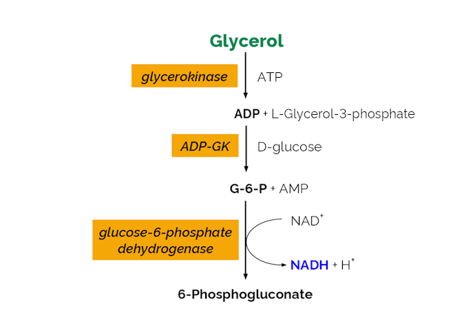 Megazyme_Scheme-K-GCROLGK-ProdIm.png