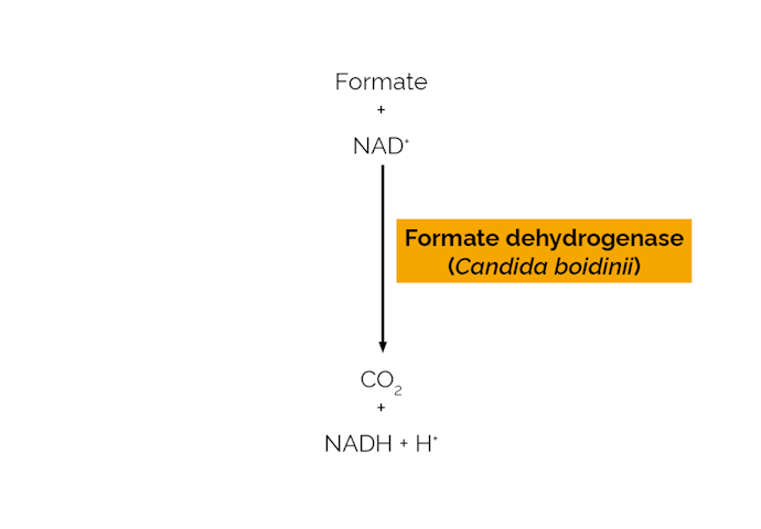 Megazyme_Scheme-E-FDHCB.png
