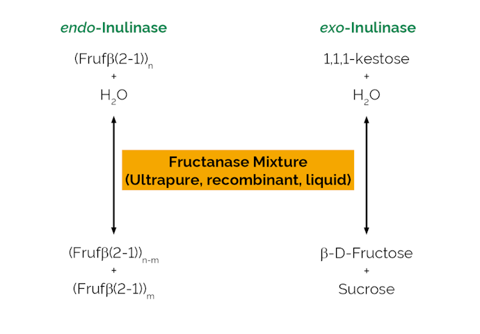 Megazyme_Scheme-E-FRLQPU.png