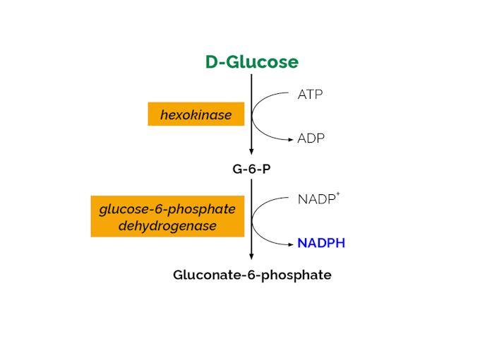 Megazyme_Scheme-K-GLUHK-ProdIm.png