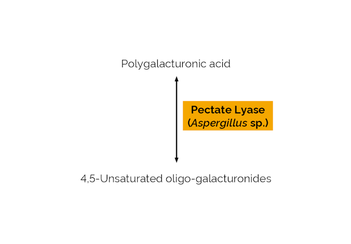 Megazyme_Scheme-E-PCLYAN.png